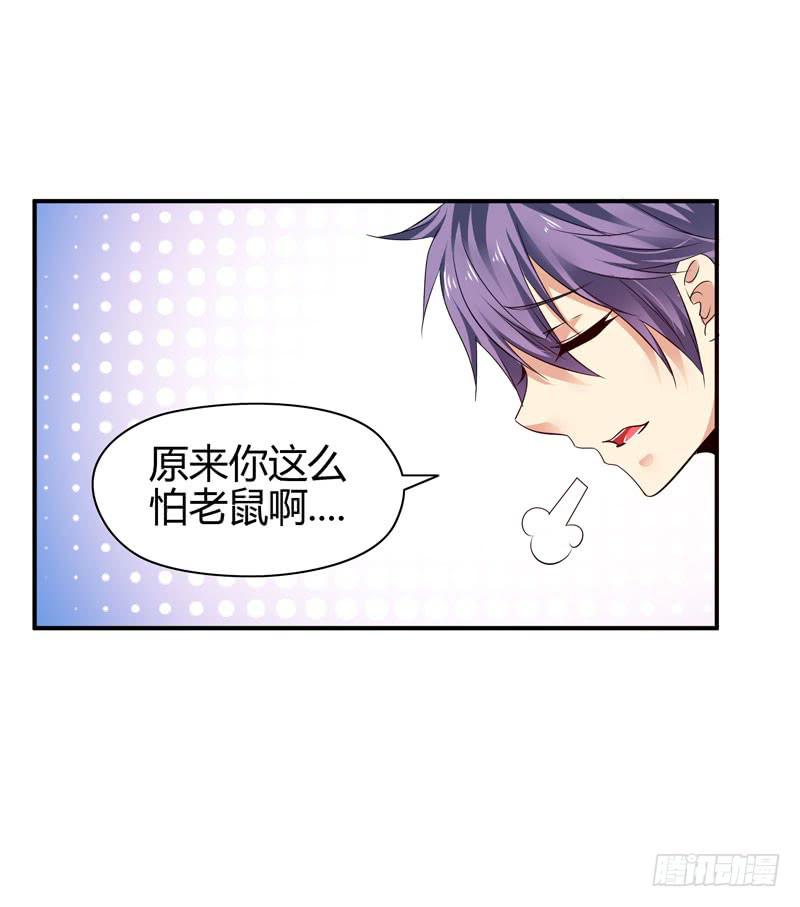 《守护之羽》老鼠来袭 第37页