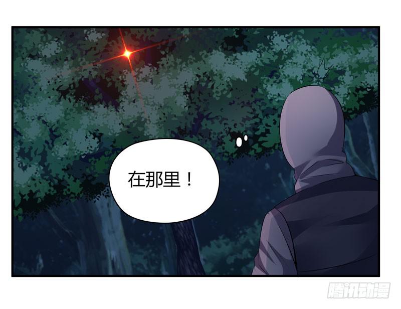 《守护之羽》枪战 第43页