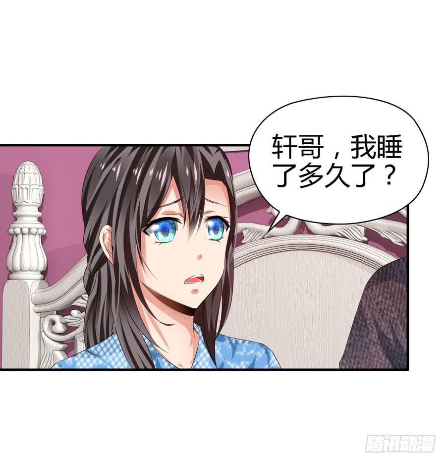 《守护之羽》换个护卫 第1页