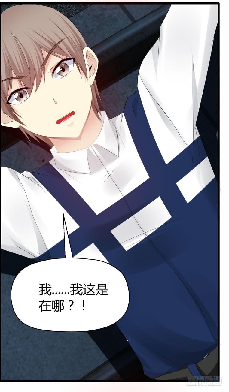 《守护之羽》母猪能上树？ 第3页