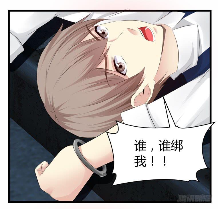 《守护之羽》母猪能上树？ 第4页