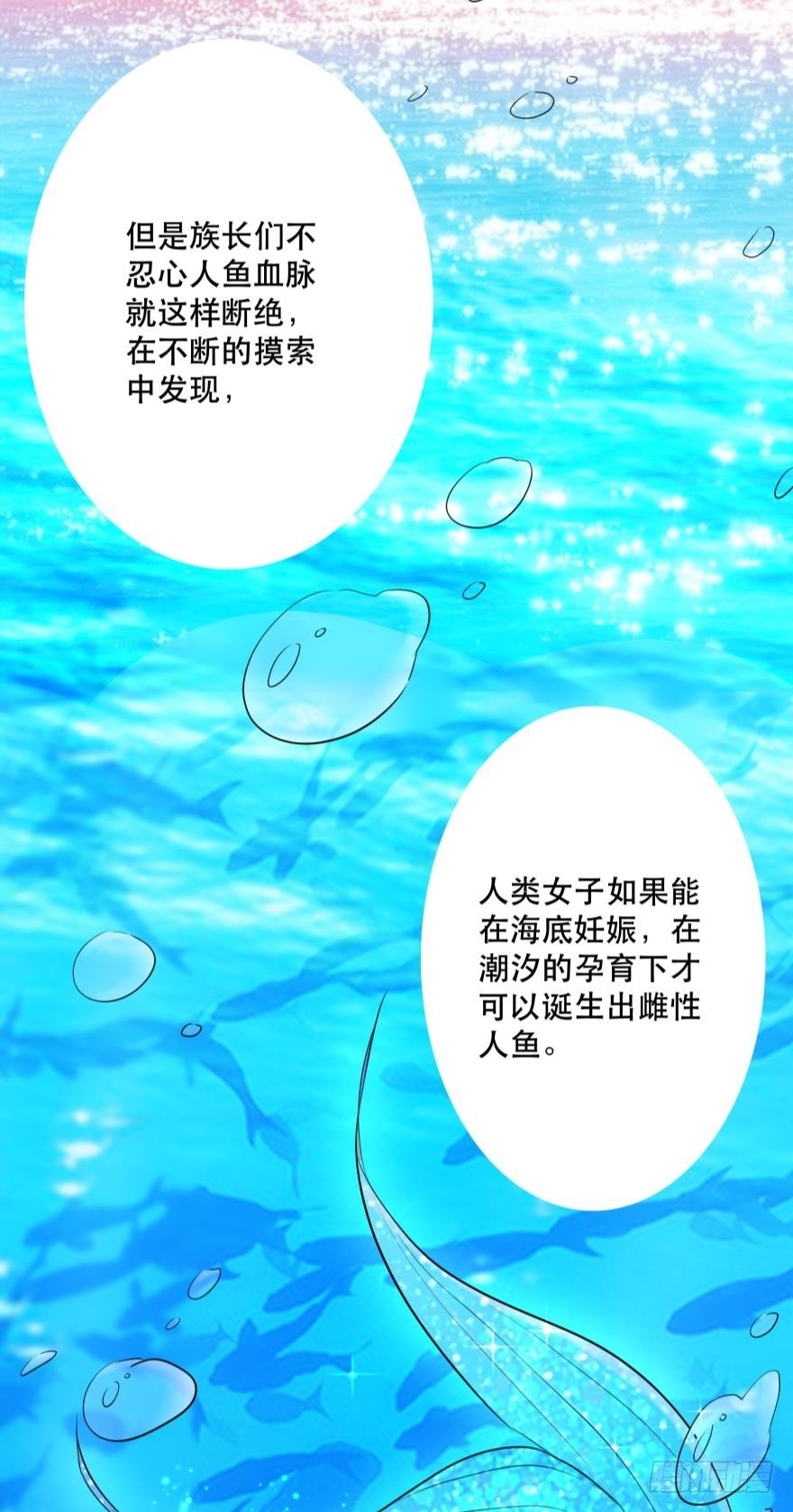 《人鱼学长别抱我》2 单身鱼的渴望！ 第37页