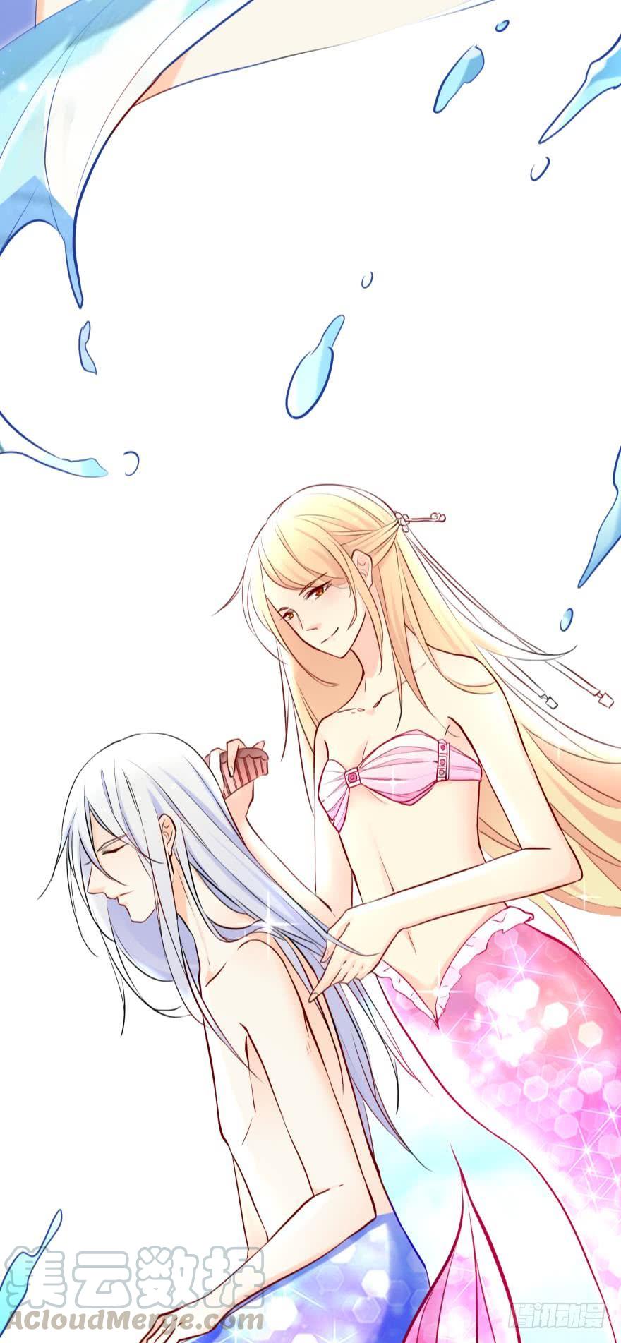 《人鱼学长别抱我》浴室Avi 第13页