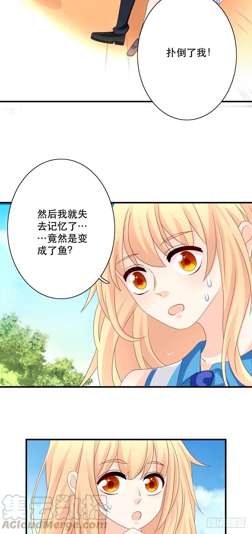 《人鱼学长别抱我》狭路相逢 第29页