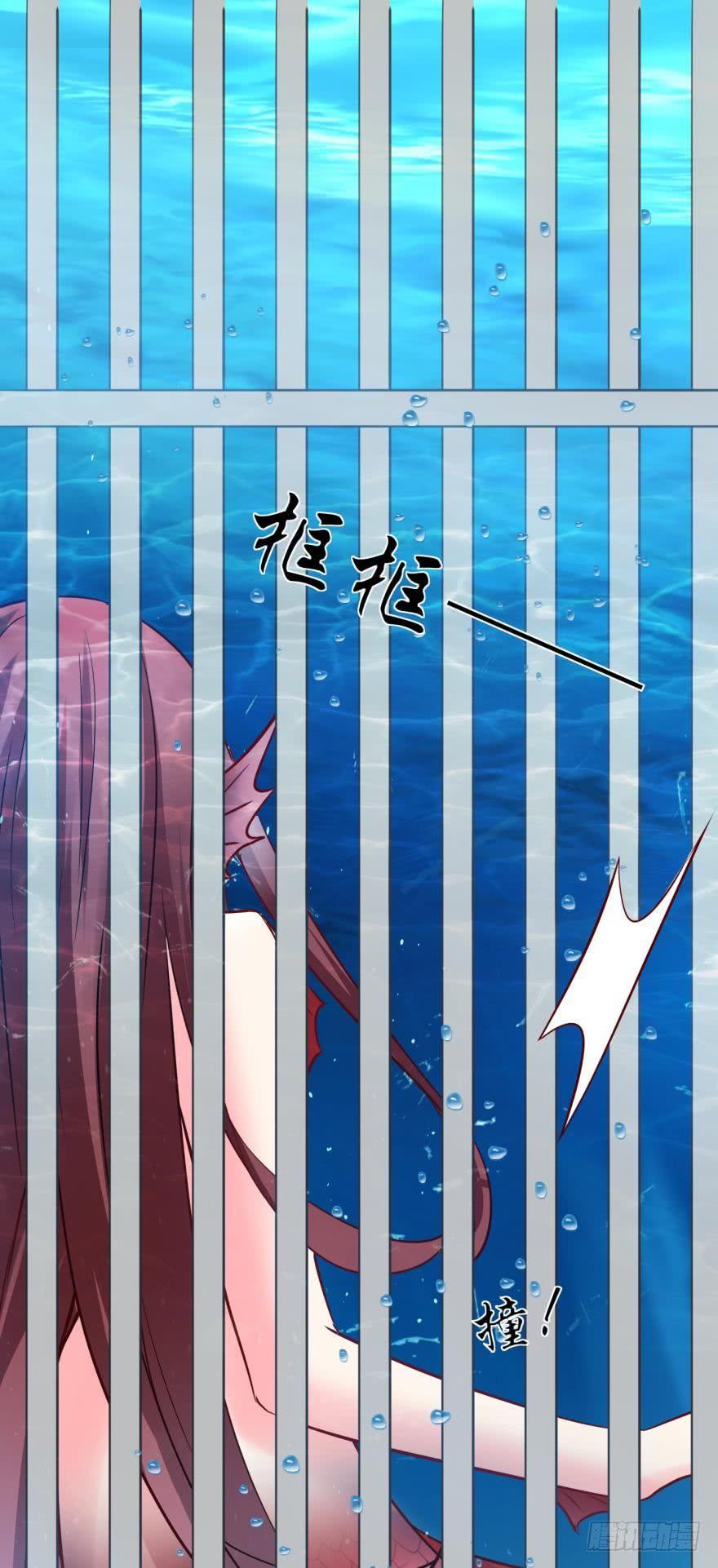 《人鱼学长别抱我》人鱼首秀 第15页