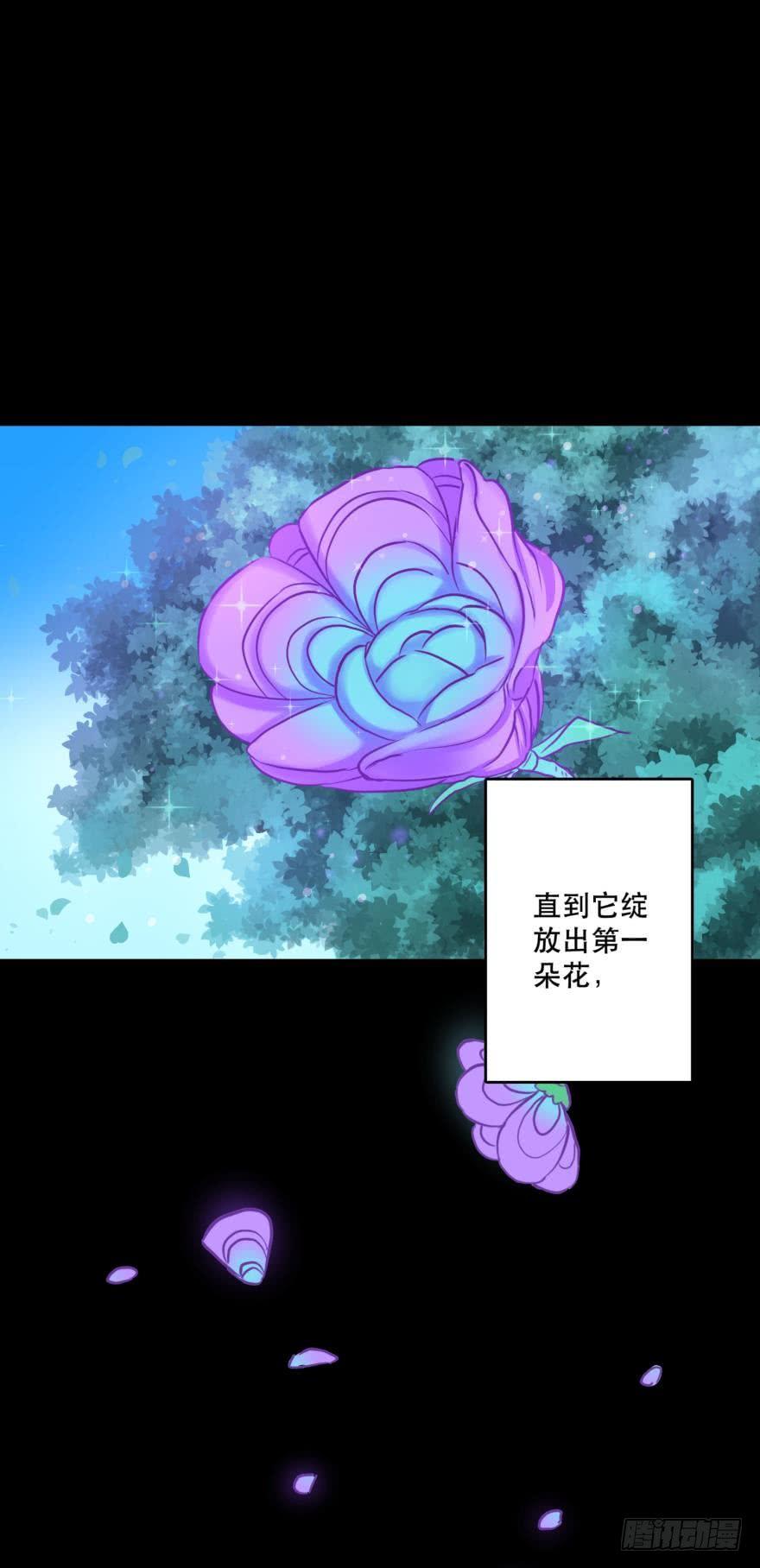 《人鱼学长别抱我》封印的过去 第18页