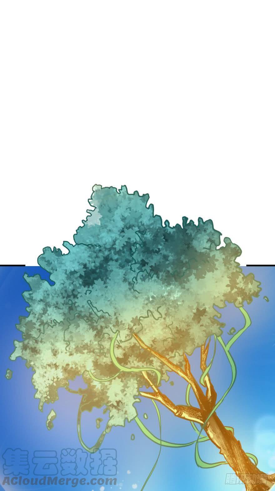 《人鱼学长别抱我》重返现世 第1页