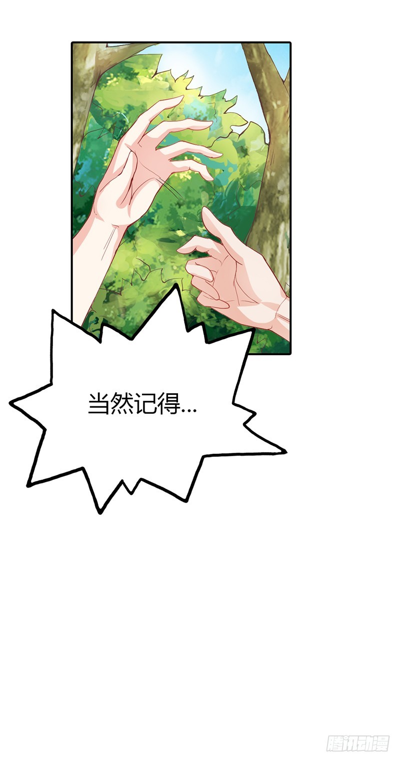 《宝贝你好甜嗜血的温柔》前世记忆 第10页