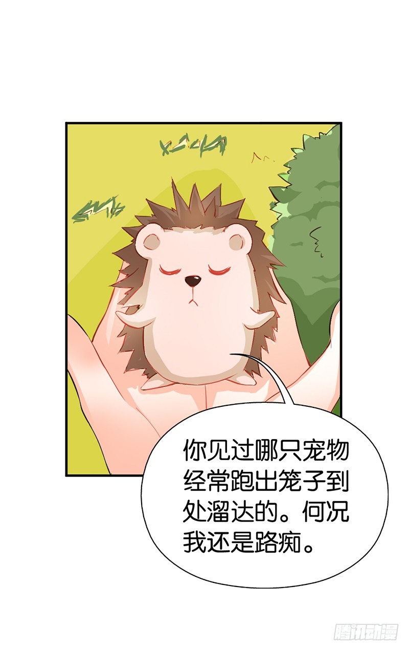 《宝贝你好甜嗜血的温柔》知道如何弥补吧 第9页