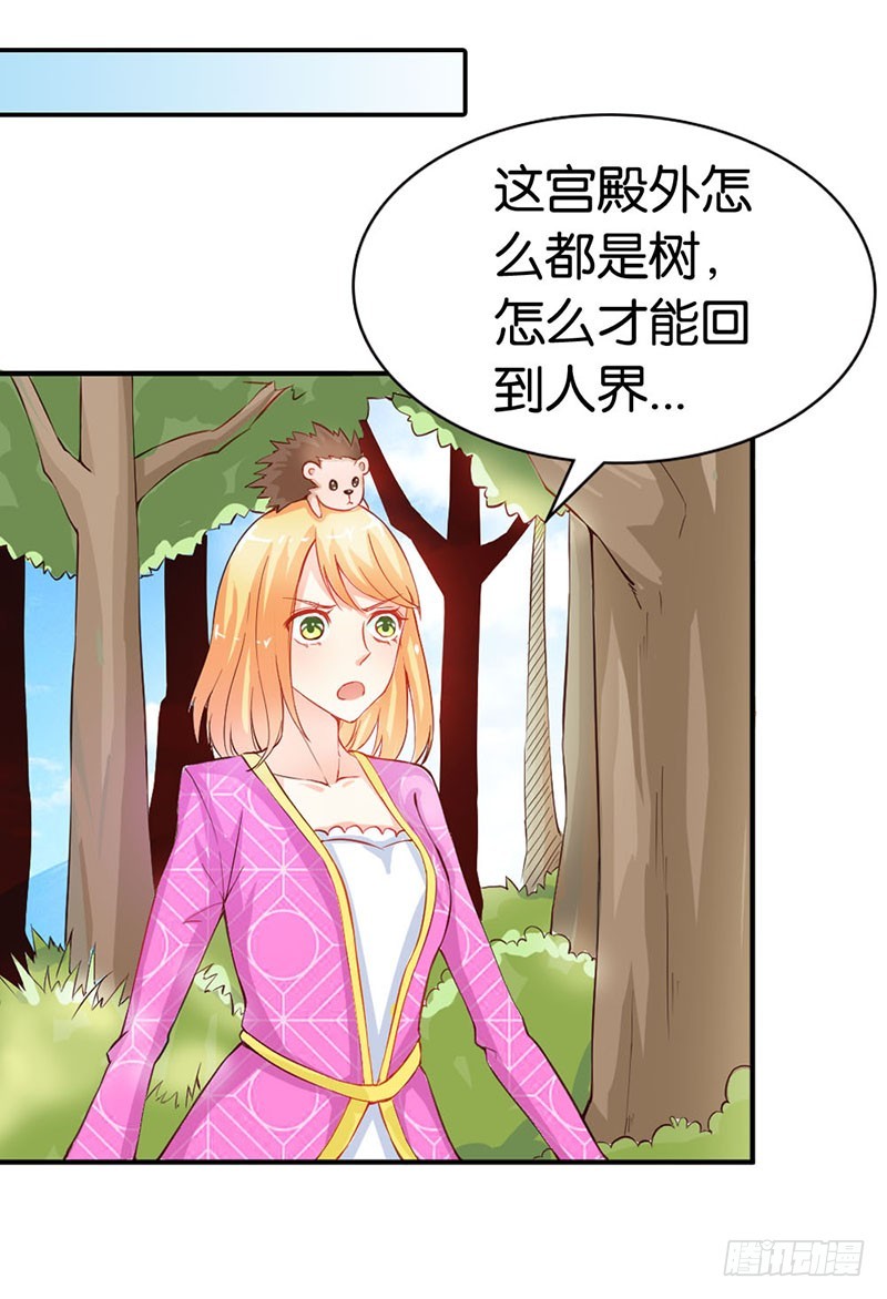 《宝贝你好甜嗜血的温柔》谁敢动我的人！ 第11页