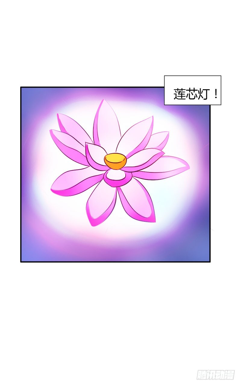 《宝贝你好甜嗜血的温柔》莲芯灯 第14页