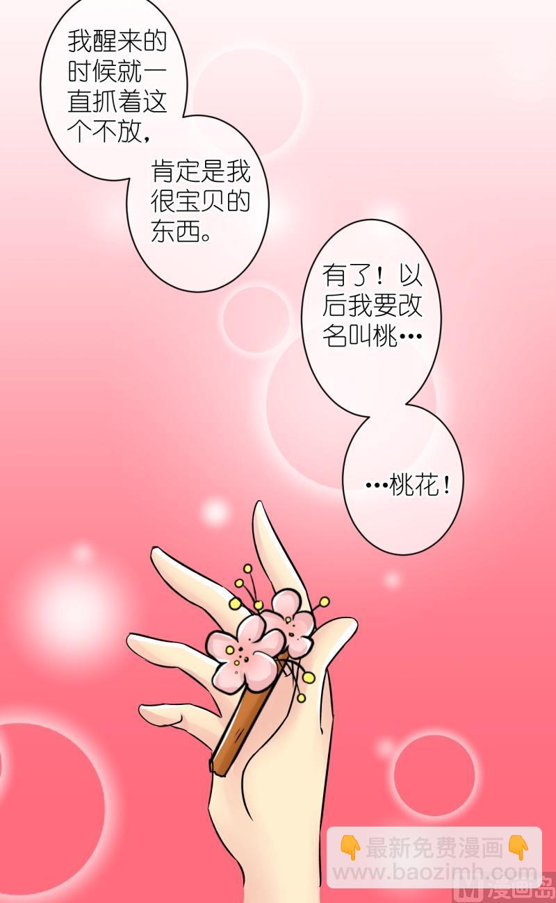 《红线错情》第79话真假公主1 第12页