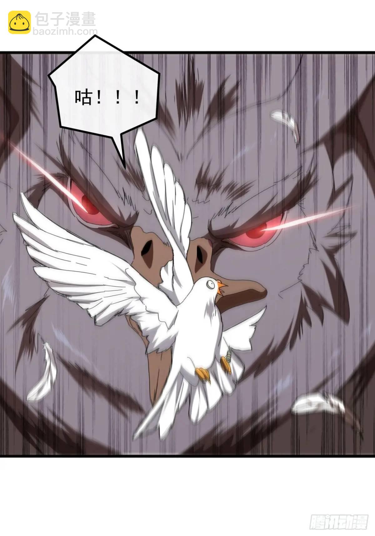 《金刚不坏大寨主》71话男拳VS女拳 第45页