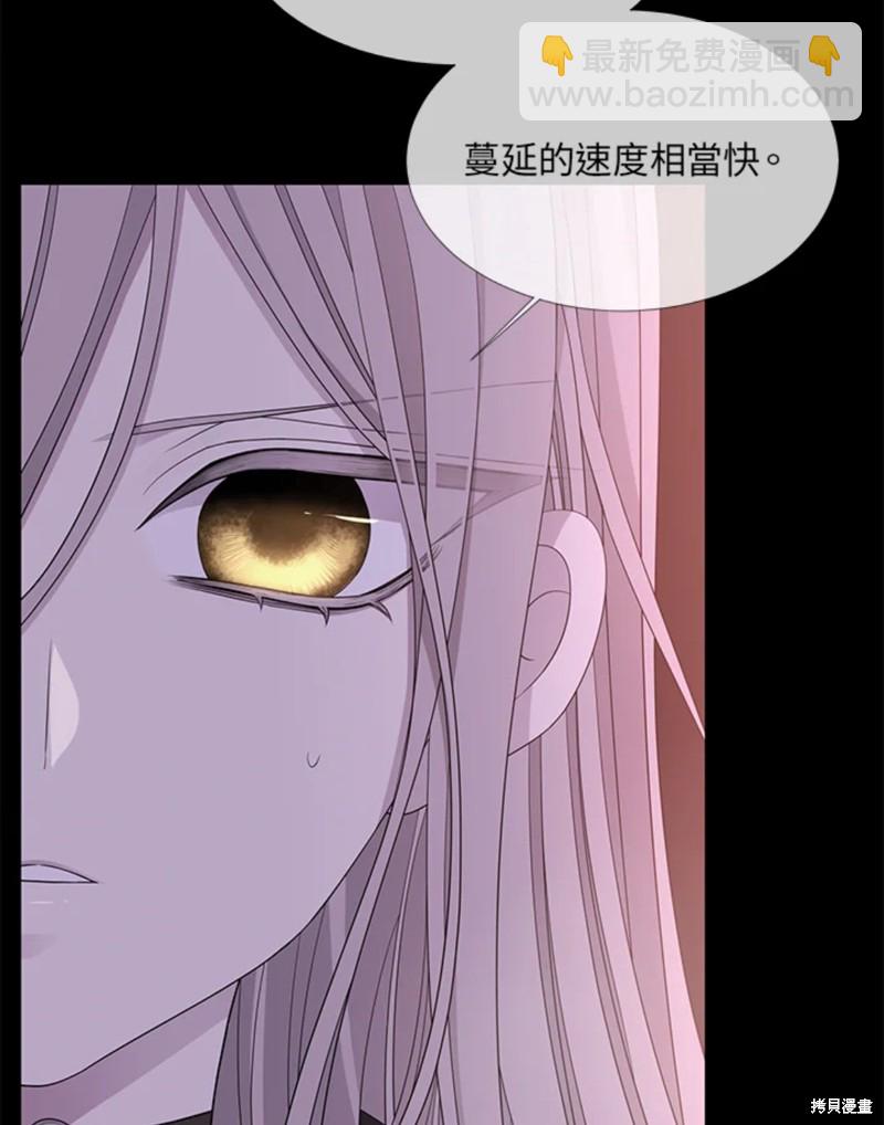 《夏洛特的五个徒弟》第106话 第41页