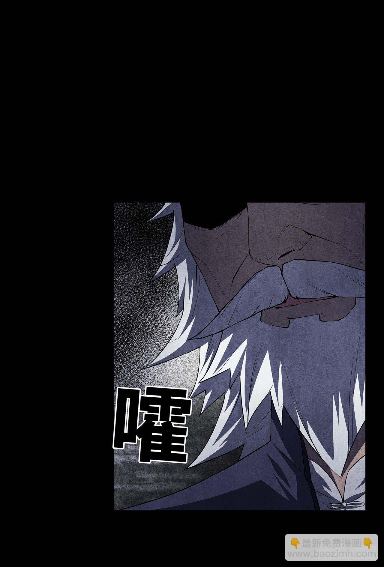 《行走阴阳》棺材落地 第26页