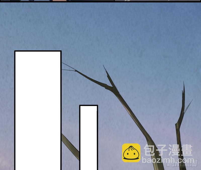 《行走阴阳》明修暗度 第47页