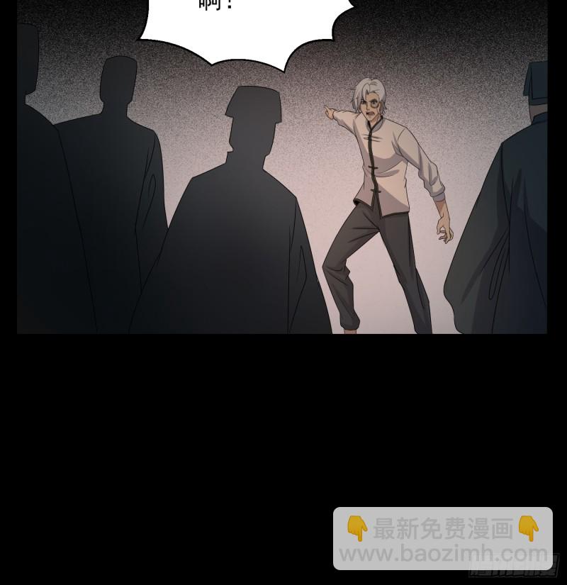 《行走阴阳》阴魂痋虫 第12页