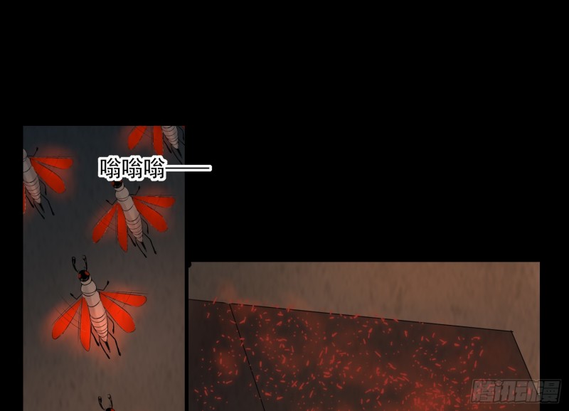 《行走阴阳》阴魂痋虫 第18页
