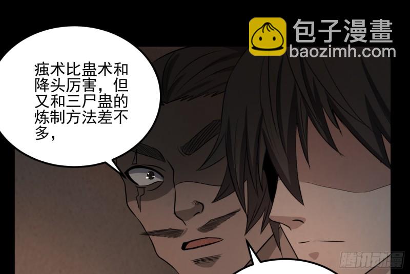《行走阴阳》阴魂痋虫 第27页