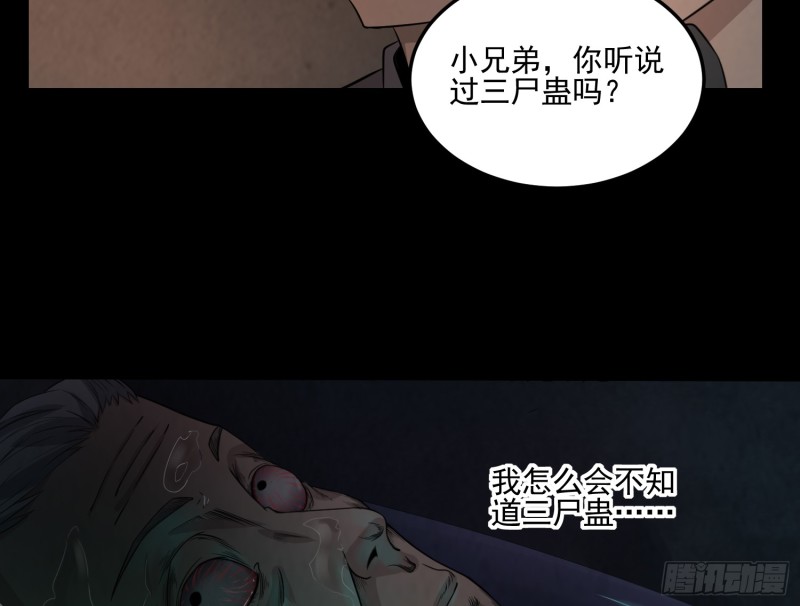 《行走阴阳》阴魂痋虫 第28页