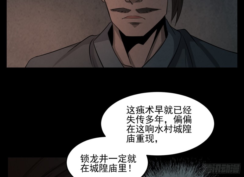《行走阴阳》阴魂痋虫 第35页