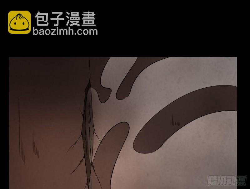 《行走阴阳》阴魂痋虫 第48页