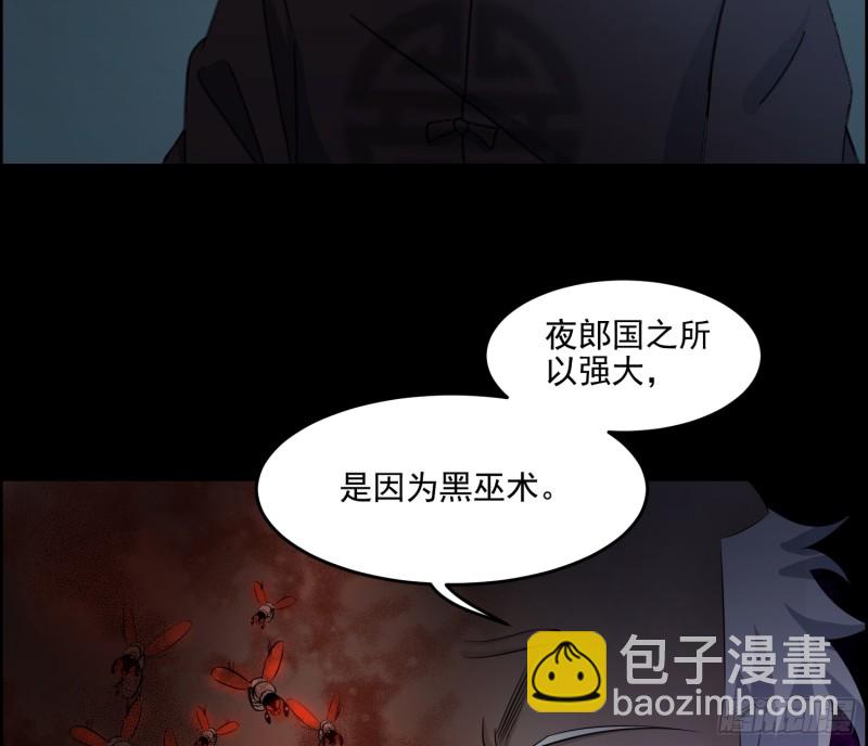 《行走阴阳》夜郎地宫 第39页