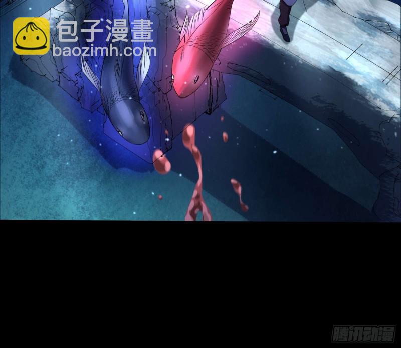 《行走阴阳》鱼跃龙门 第27页