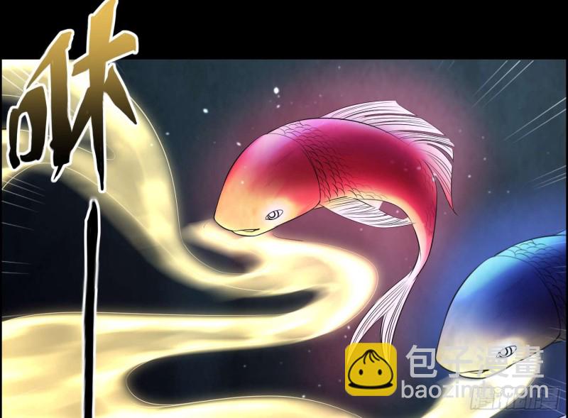 《行走阴阳》鱼跃龙门 第30页