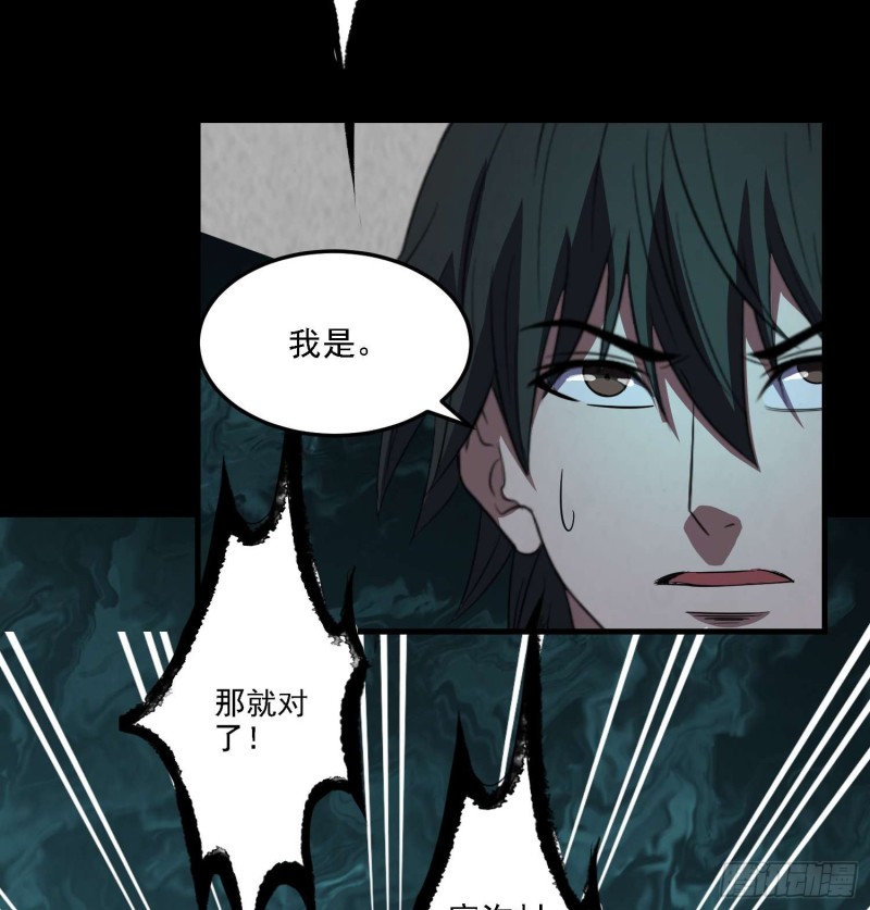 《行走阴阳》阴兵拘魂 第35页