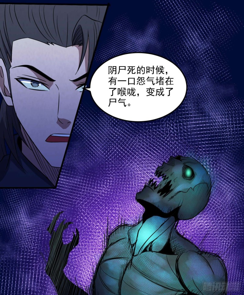 《行走阴阳》阴尸怨气 第7页