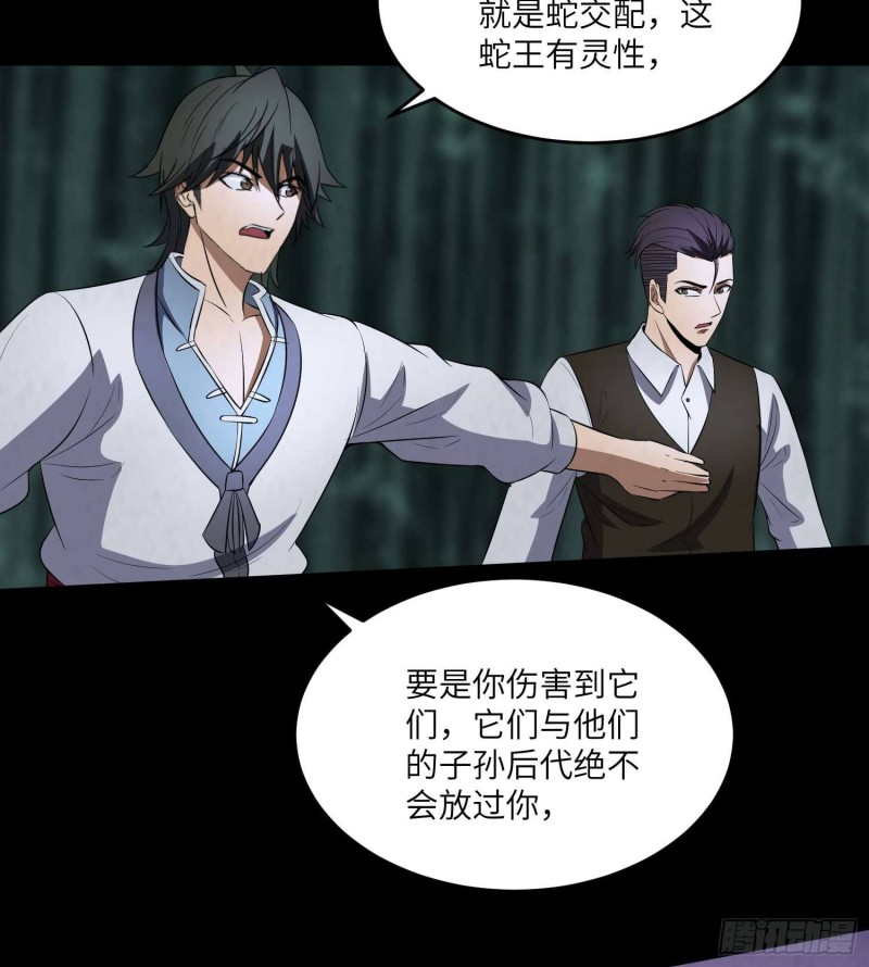《行走阴阳》青蛇缠丝 第29页