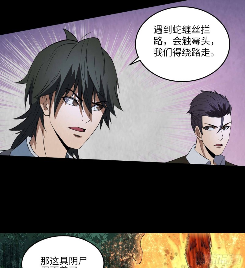 《行走阴阳》青蛇缠丝 第30页