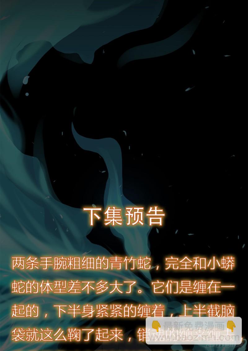 《行走阴阳》阴尸还魂 第40页