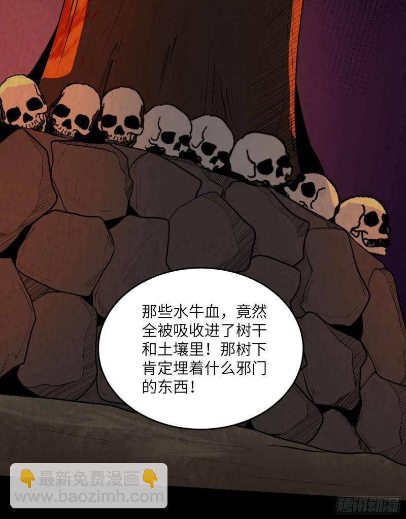 《行走阴阳》苗人三祭 第24页