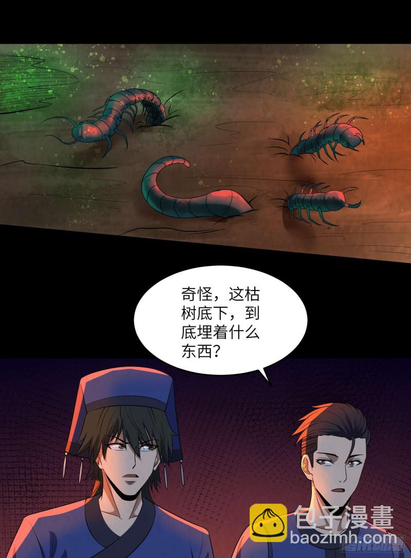 《行走阴阳》苗人三祭 第41页