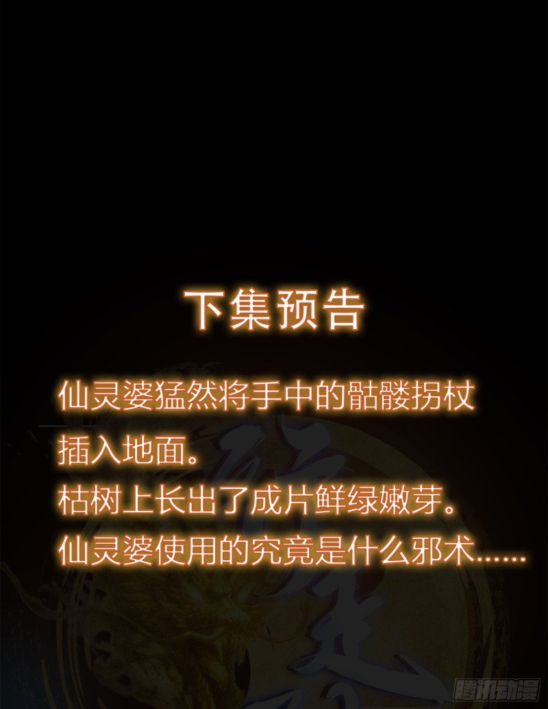 《行走阴阳》苗人三祭 第48页