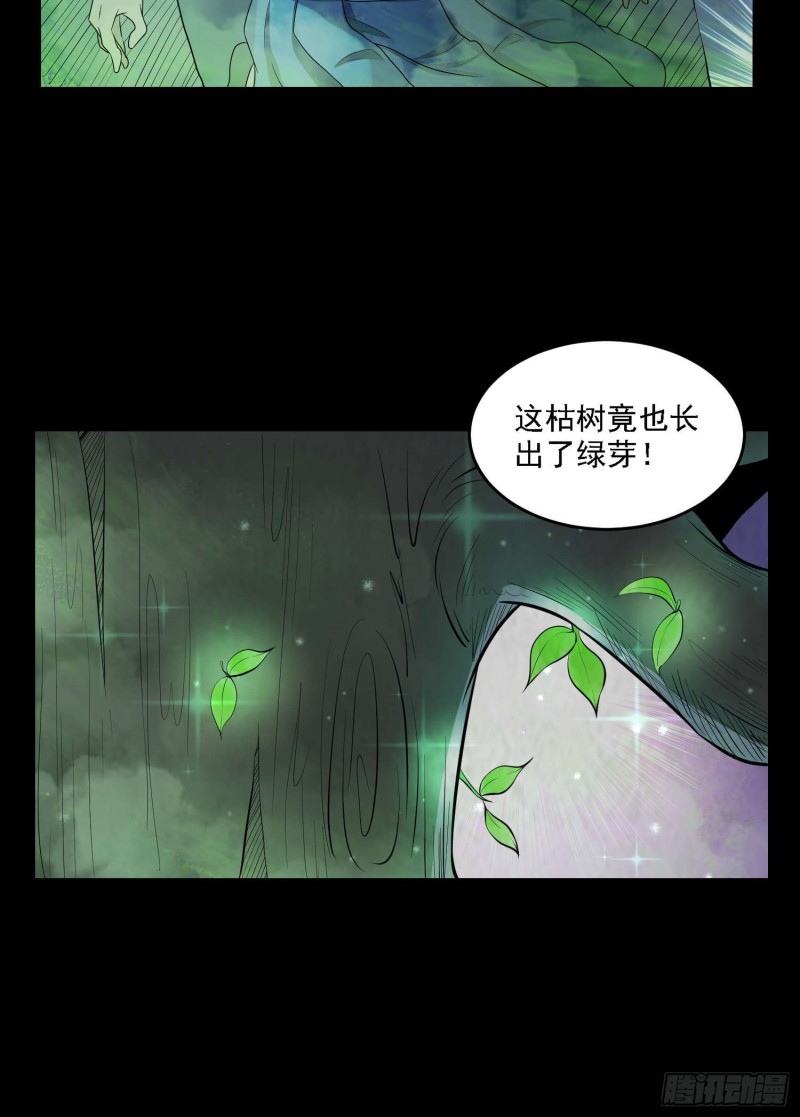 《行走阴阳》枯木逢春 第17页