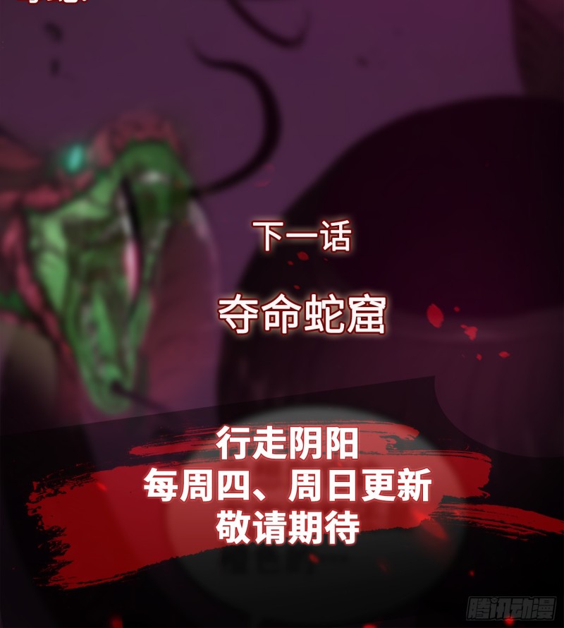《行走阴阳》枯木逢春 第47页