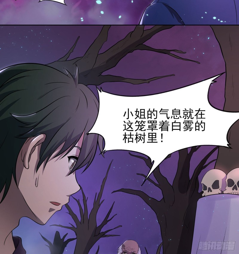 《行走阴阳》枯树蛊棺 第5页