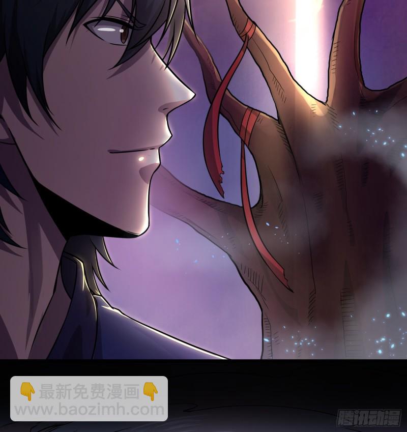 《行走阴阳》仙灵复活 第13页