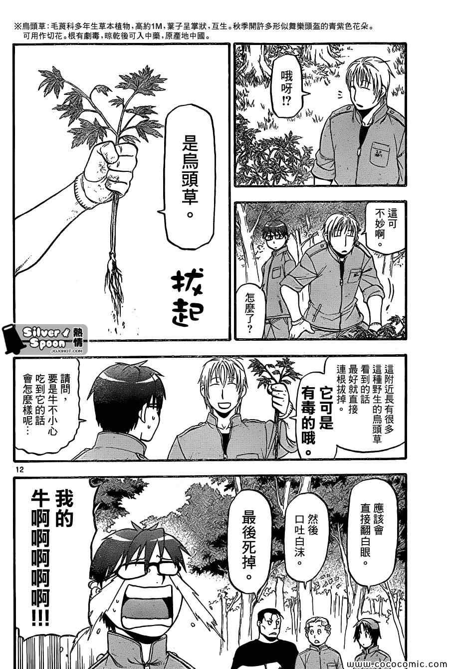 《白银之匙》第99话 四季之卷 第12页