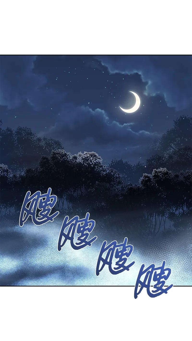 《穿越翻车指南》47 公爵小姐被盯上了 第36页