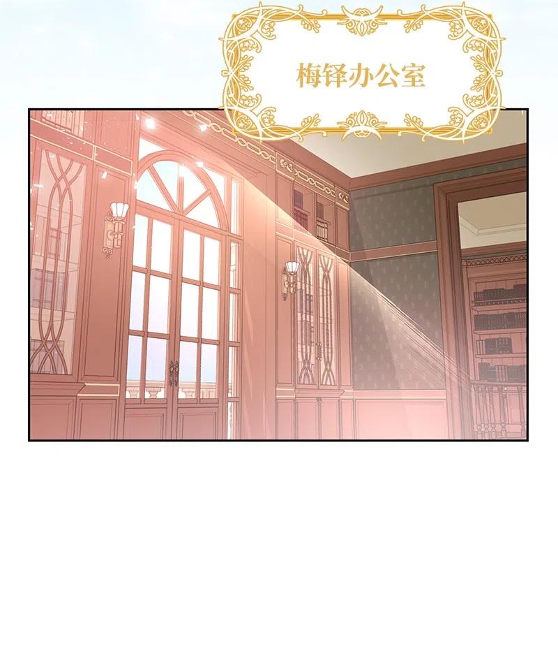 《穿越翻车指南》59 贵族家族的联姻 第3页