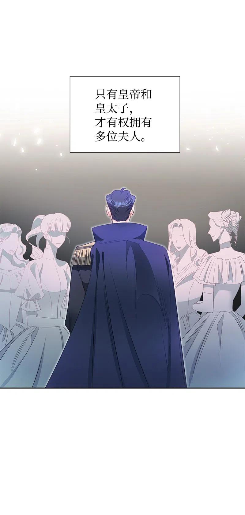 《穿越翻车指南》59 贵族家族的联姻 第45页