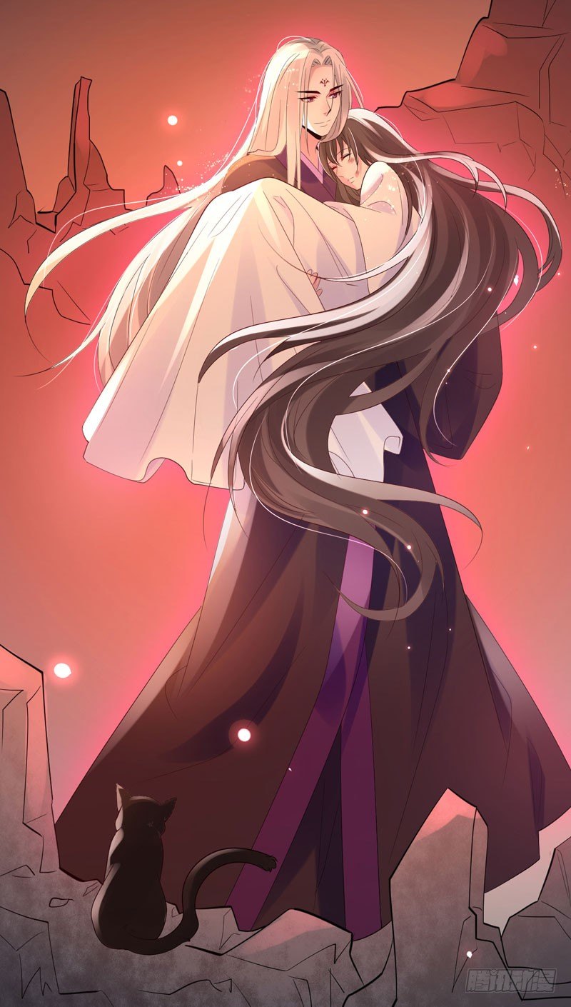 《绝世神医腹黑大小姐》预告 第18页