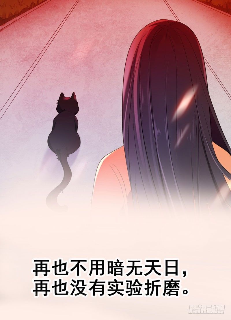 《绝世神医腹黑大小姐》预告 第3页