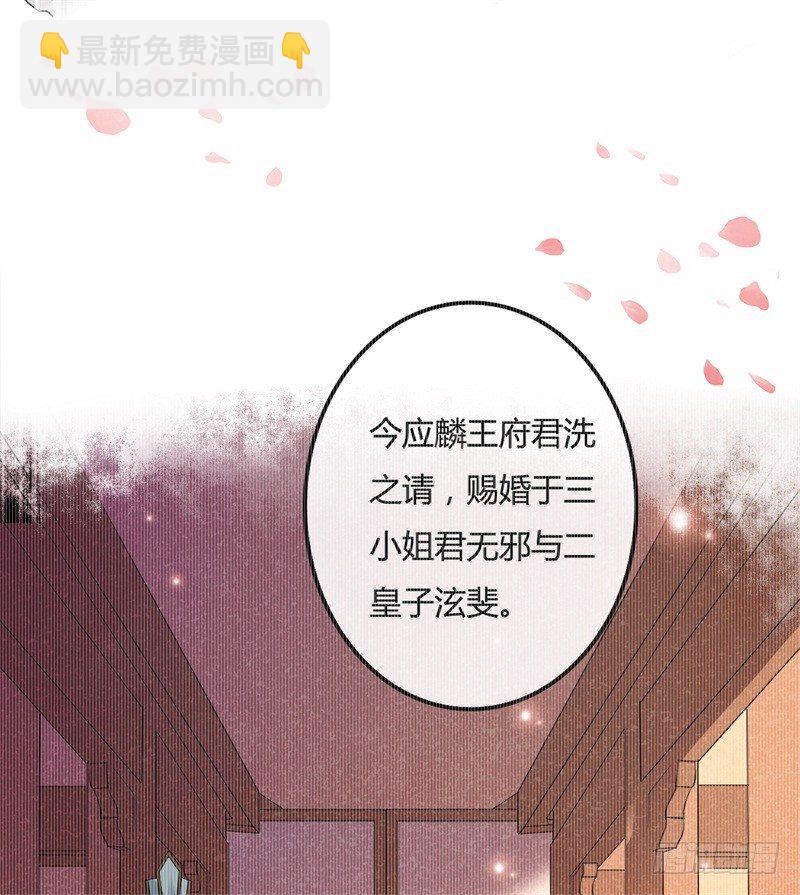 《绝世神医腹黑大小姐》第1话 穿越成王府大小姐 第22页