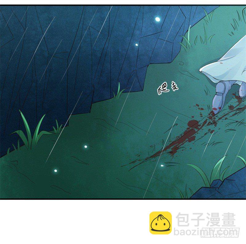 《绝世神医腹黑大小姐》第1话 穿越成王府大小姐 第33页