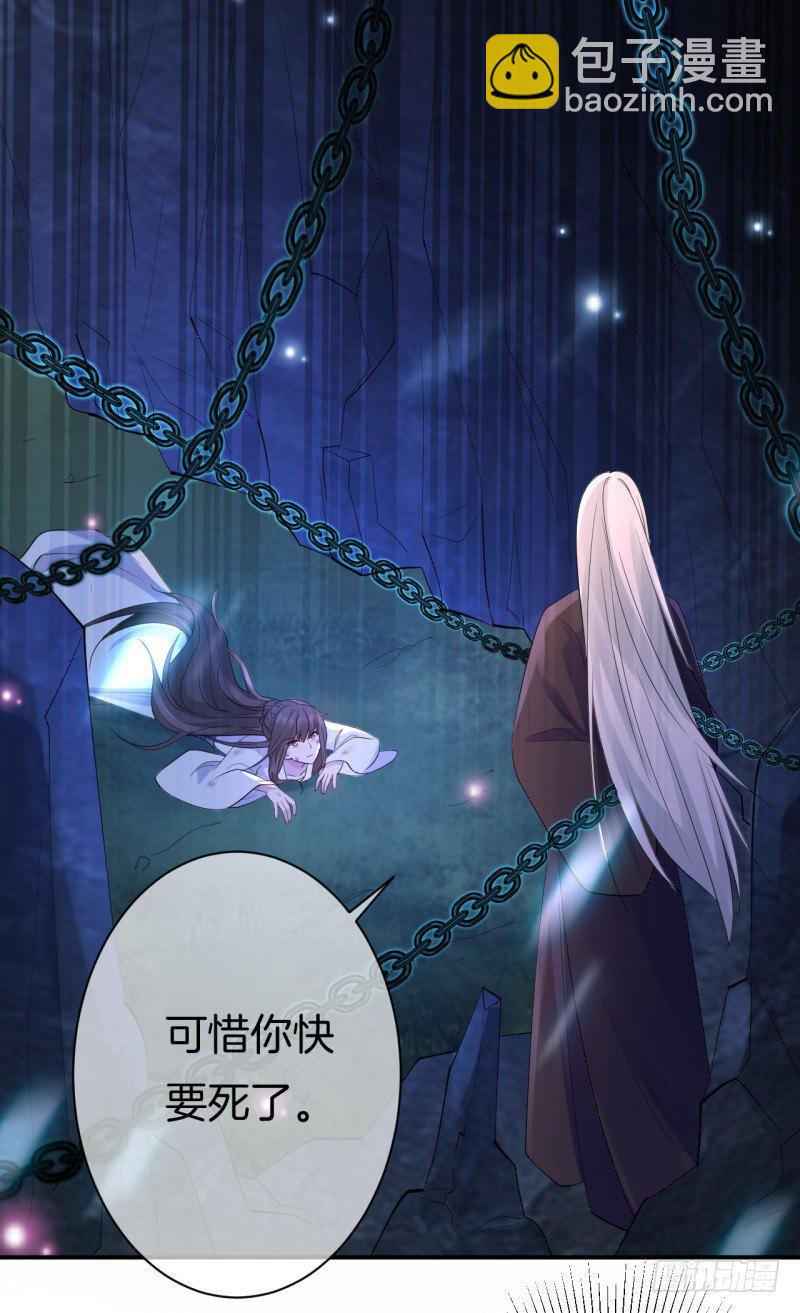 《绝世神医腹黑大小姐》第2话 你带我回家 第2页